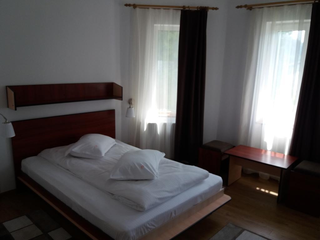 Vila Viitorul Буштени Экстерьер фото